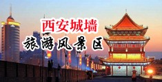 重庆到哈尔滨物流公司中国陕西-西安城墙旅游风景区