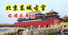 美女尿尿欧美白虎自慰白浆中国北京-东城古宫旅游风景区